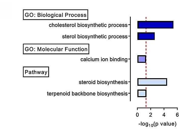 Open access visualization of Bar Plot, GO, KEGG Pathway, Gene Expression, pMNs