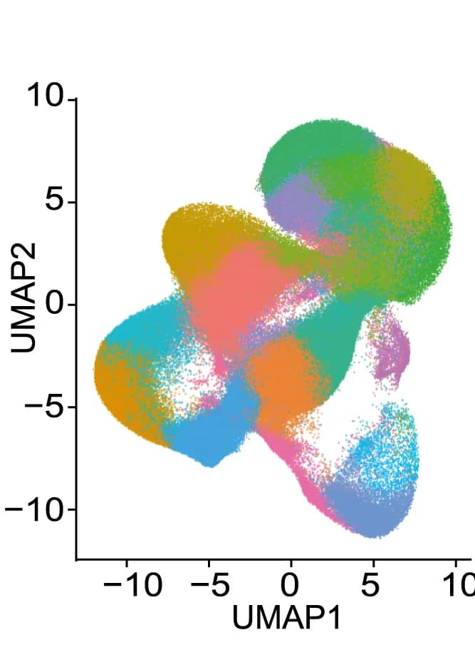 Open access visualization of Scatter Plot, UMAP, Dimensionality Reduction, Human Hematopoietic Cells, Bone Marrow