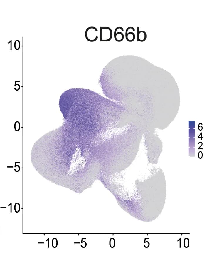 Open access visualization of Scatter Plot, UMAP, Single-Cell Expression, CD66b, Granulocytes