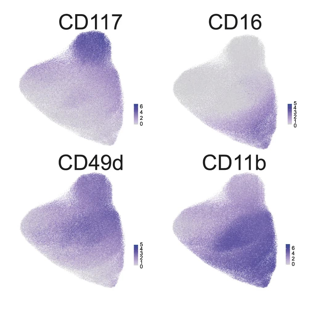 Open access visualization of Scatter Plot, UMAP, Single-Cell Expression, Progenitor Markers, Maturation Markers