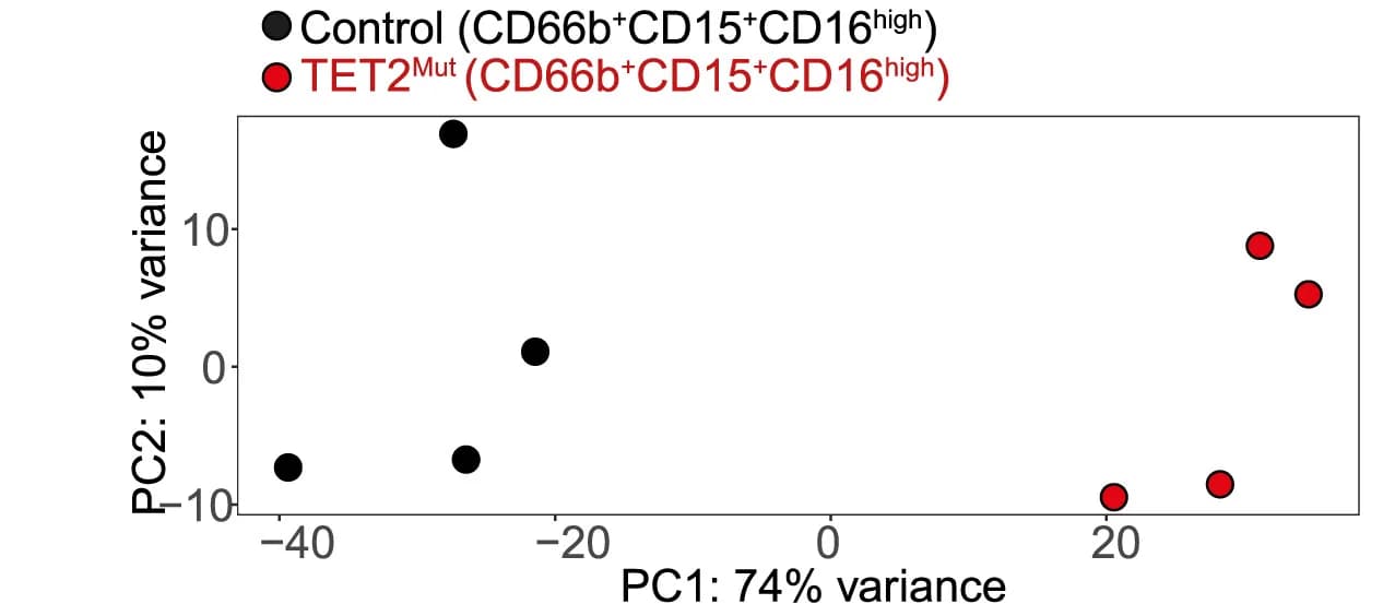 Open access visualization of Scatter Plot, PCA, RNA Sequencing, Principal Component Analysis, Neutrophils
