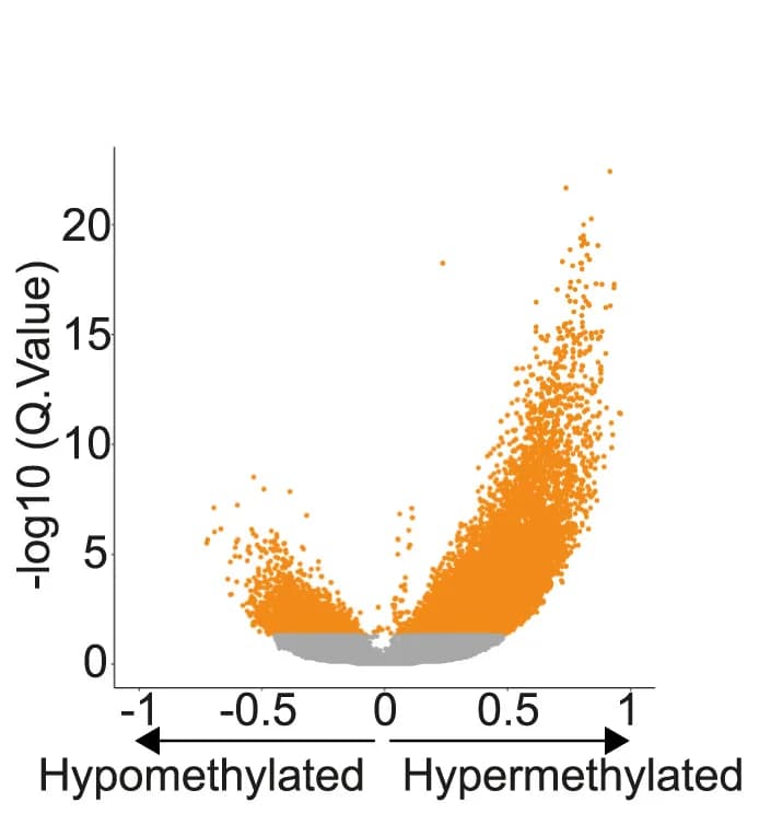 Open access visualization of Scatter Plot, Volcano Plot, Differentially Methylated CpG Bases, DNA Methylation