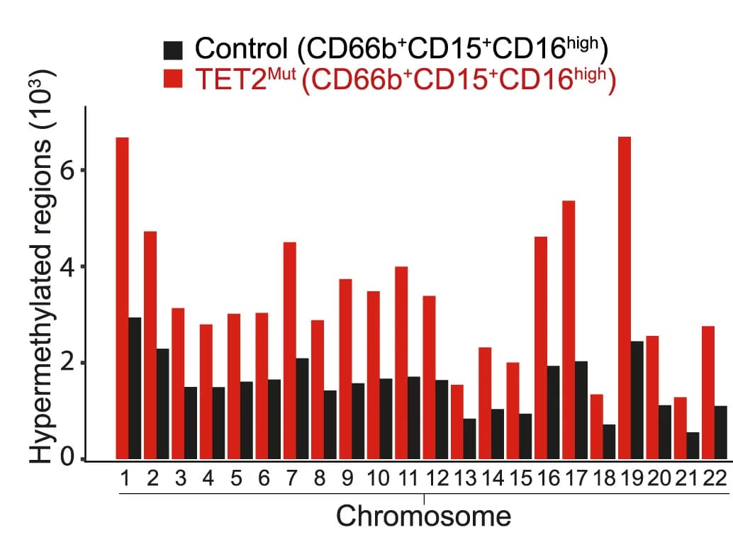 Open access visualization of Bar Plot, Clustered, Differentially Methylated Regions, Chromosomes, DNA Methylation
