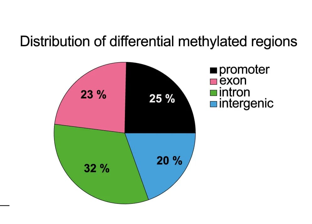 Open access visualization of Pie Chart, Differentially Methylated Regions, Promoter, Exon, Intron