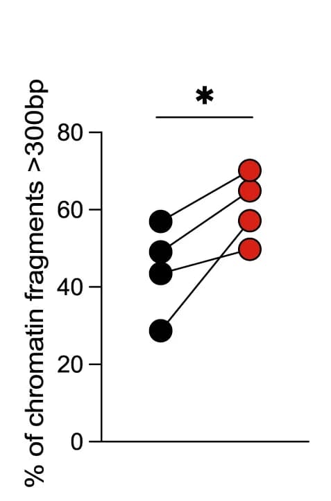 Open access visualization of Scatter Plot, Chromatin Fragments, Control, TET2Mut, Neutrophils