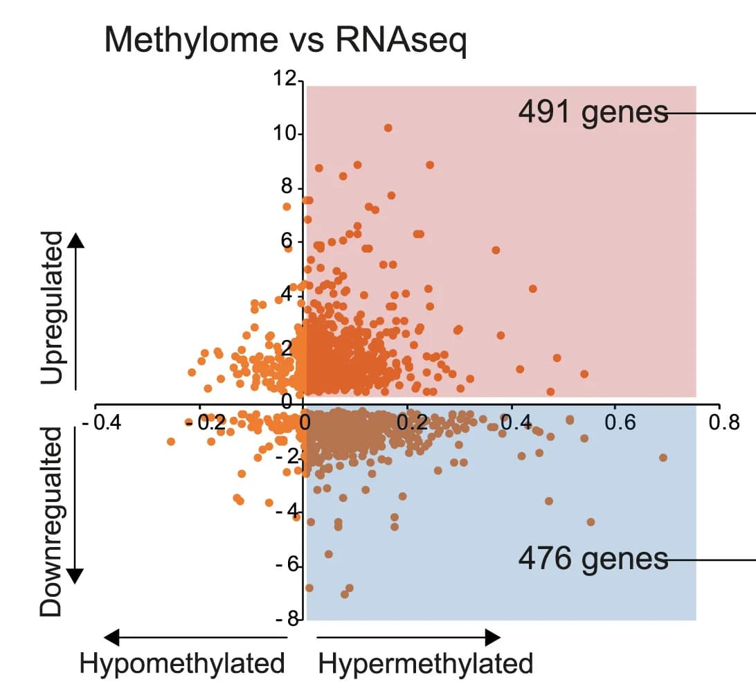 Open access visualization of Scatter Plot, Volcano Plot, Differentially Expressed Genes, RNA Sequencing, Differentially Methylated Promoter