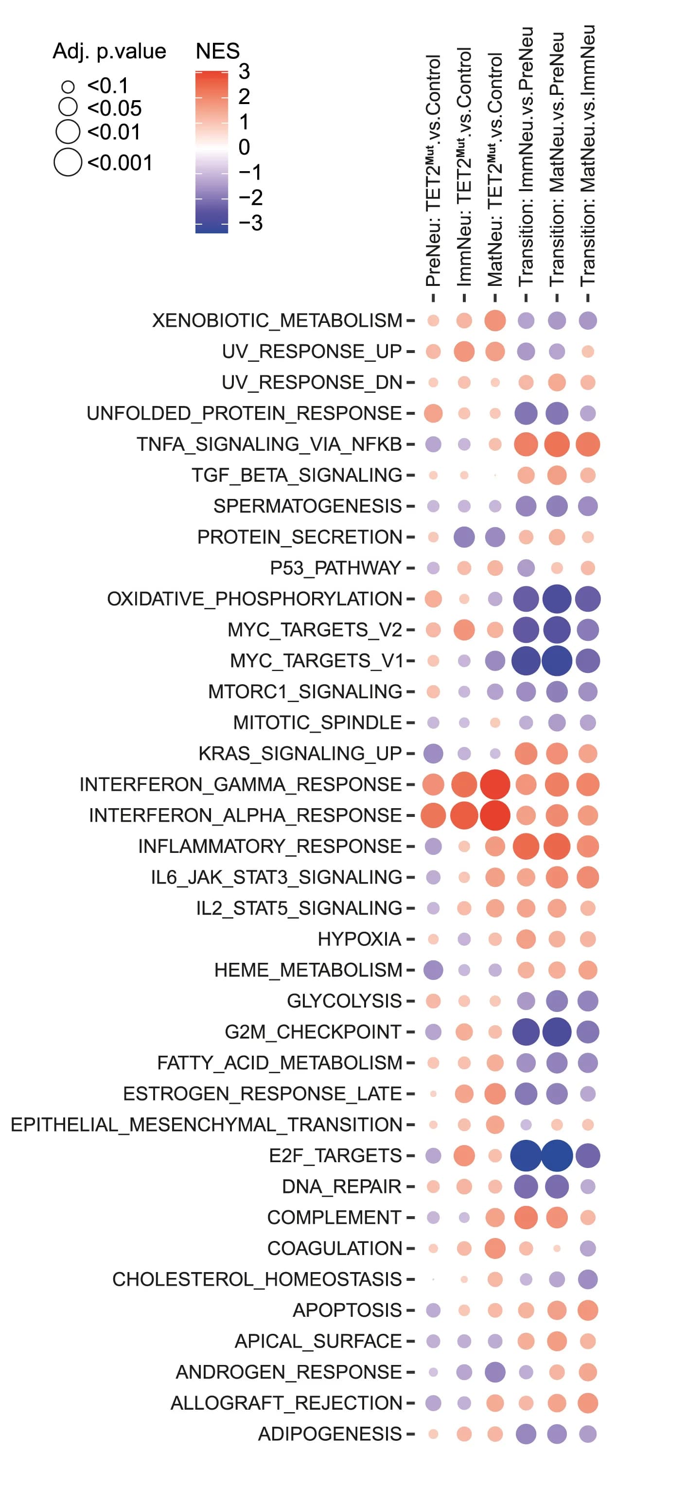 Open access visualization of Bubble Plot, Gene set enrichment analysis, Hallmark database, Comparisons