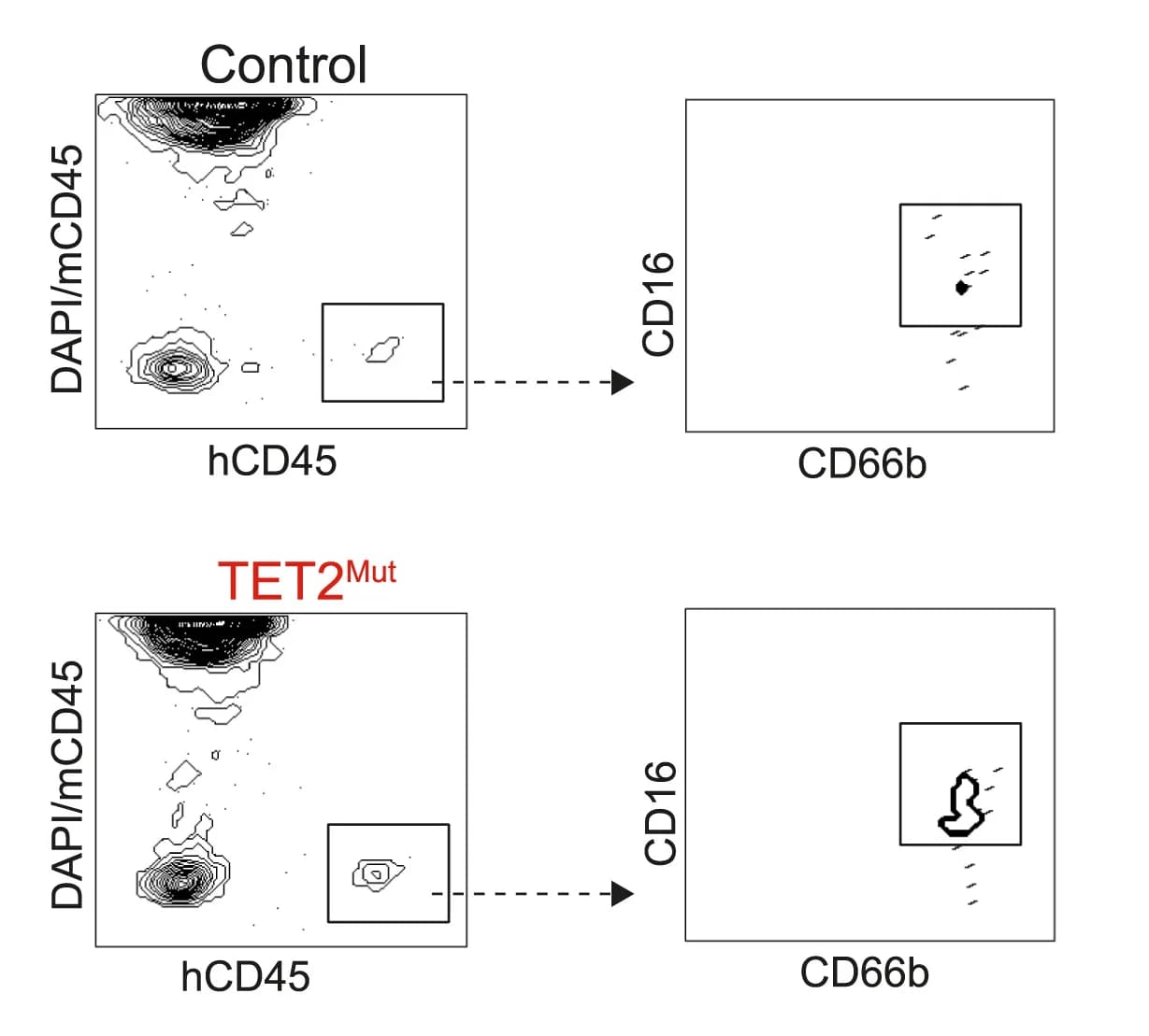 Open access visualization of Scatter Plot, Density plots, Secondary recipient mice, Neutrophil progenitors, Control