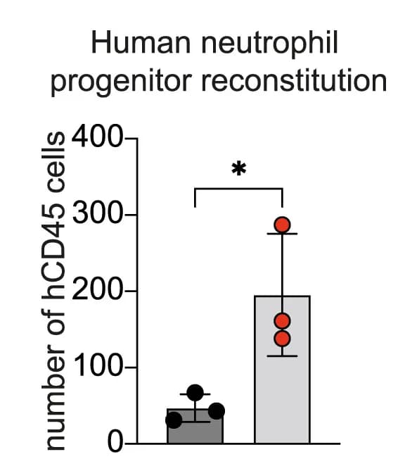 Open access visualization of Bar Plot, Error Bars, CD45 cells, Secondary recipient mice, Neutrophil progenitors