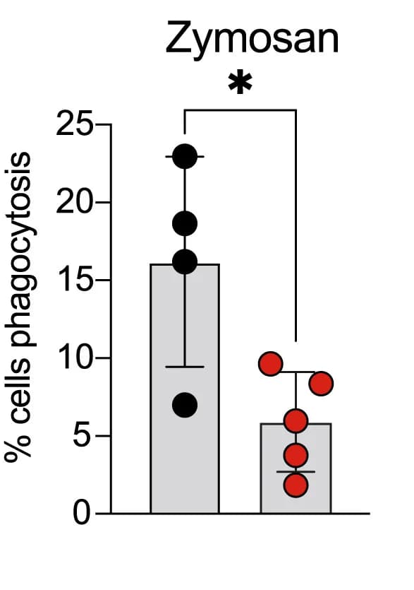 Open access visualization of Bar Plot, Scatter Plot, Error Bars, Neutrophil, Phagocytosis