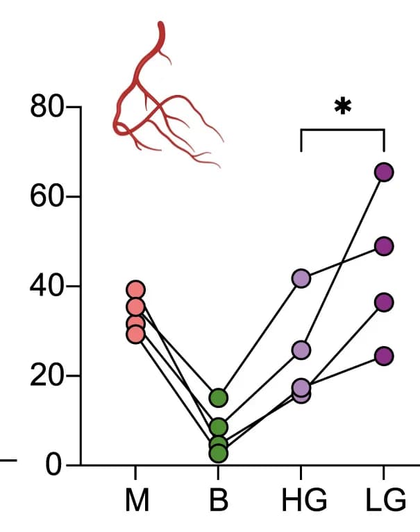 Open access visualization of Line Plot, Scatter Plot, TET2 Mutations, Immune Cells, Blood