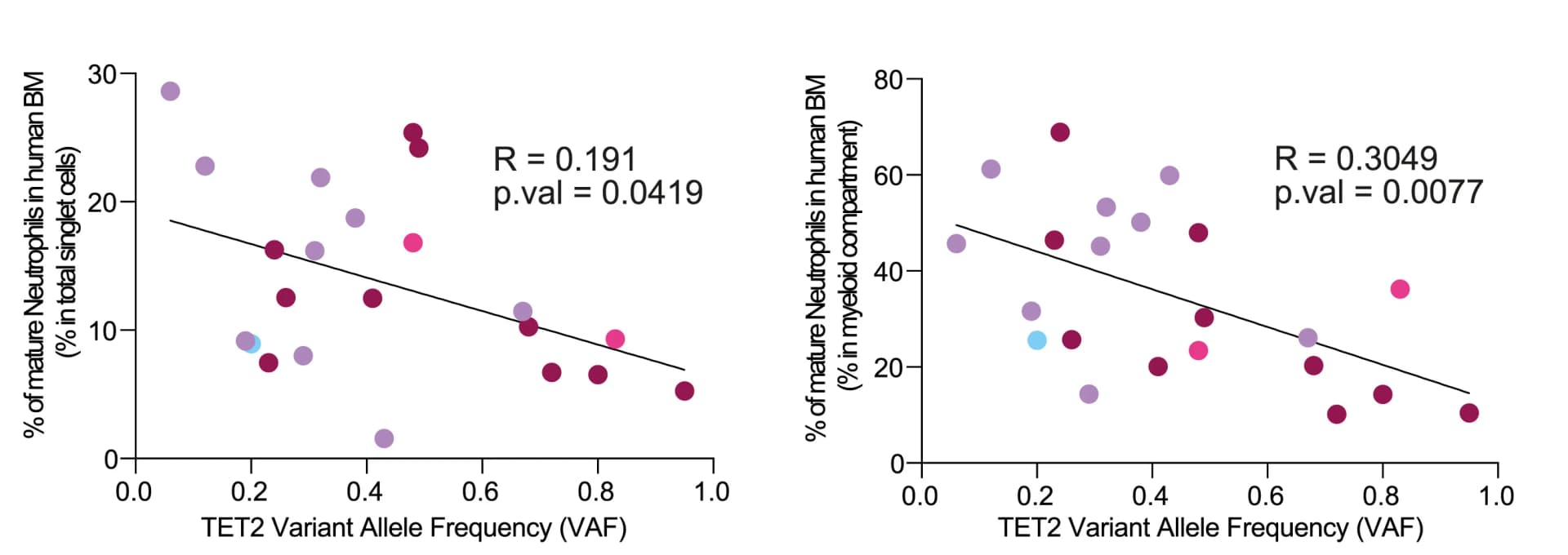 Open access visualization of Scatter Plot, Regression Plot, Bone Marrow Neutrophils, BM Cells, Myeloid Compartment