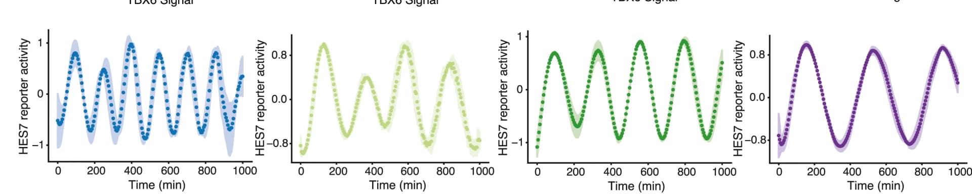 Open access visualization of Line Plot, Scatter Plot, Error Bars, HES7 Reporter Activity, iPSM