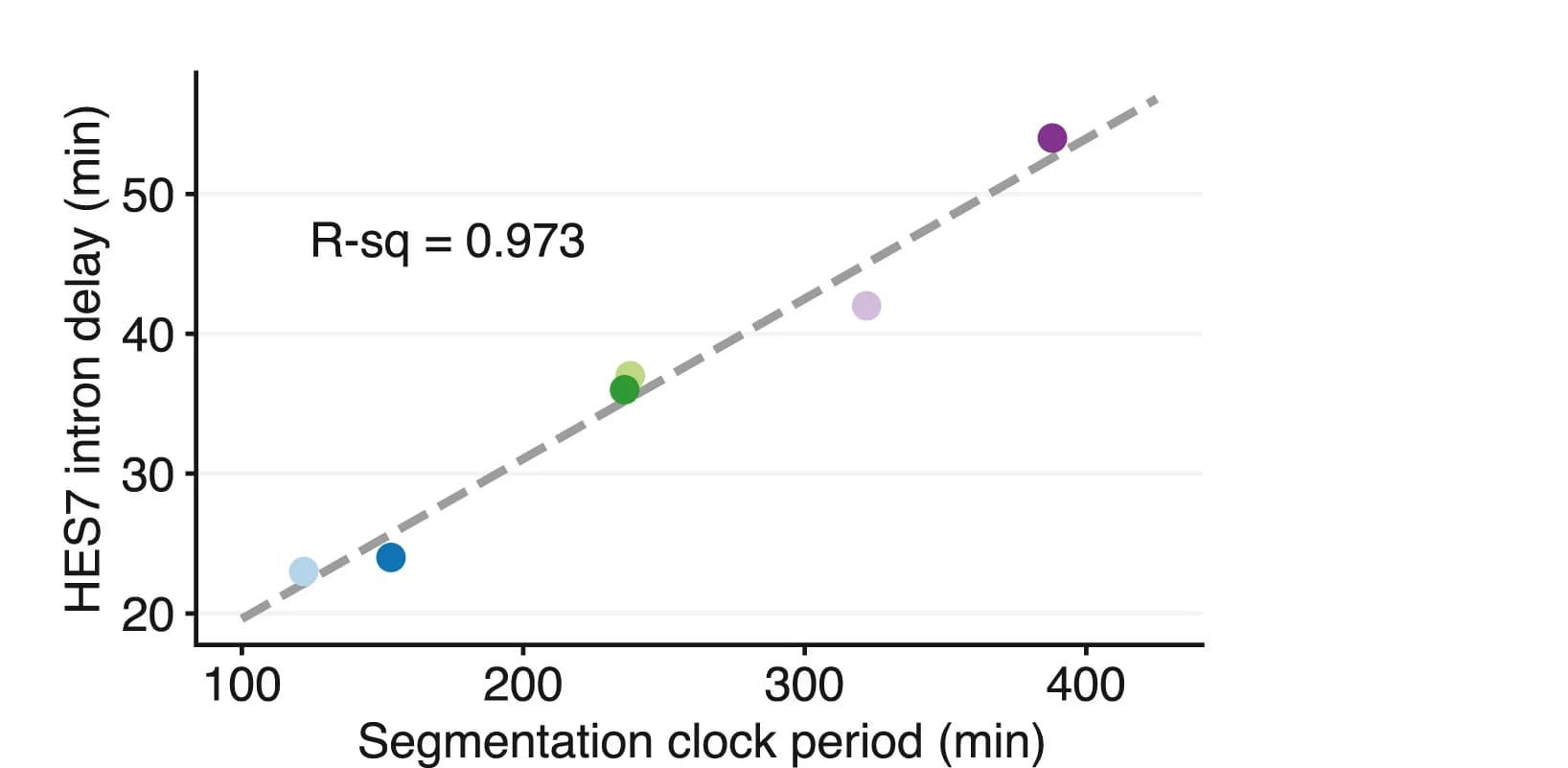 Open access visualization of Scatter Plot, Regression Plot, Scatterplot, Segmentation Clock Period, HES7