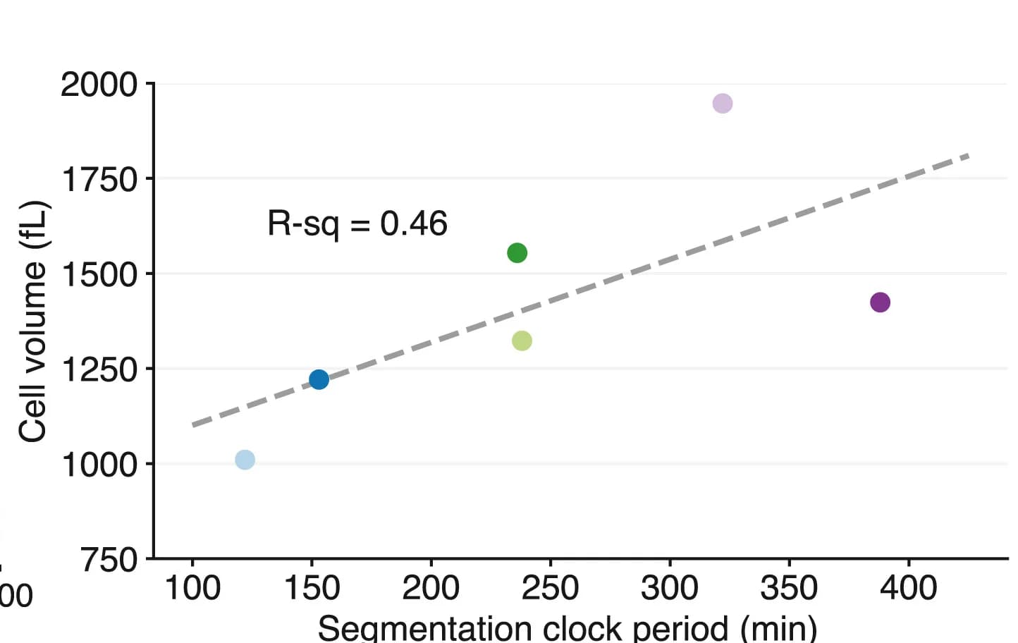 Open access visualization of Scatter Plot, Regression Plot, Scatterplot, Cell Volume, Segmentation Clock Period
