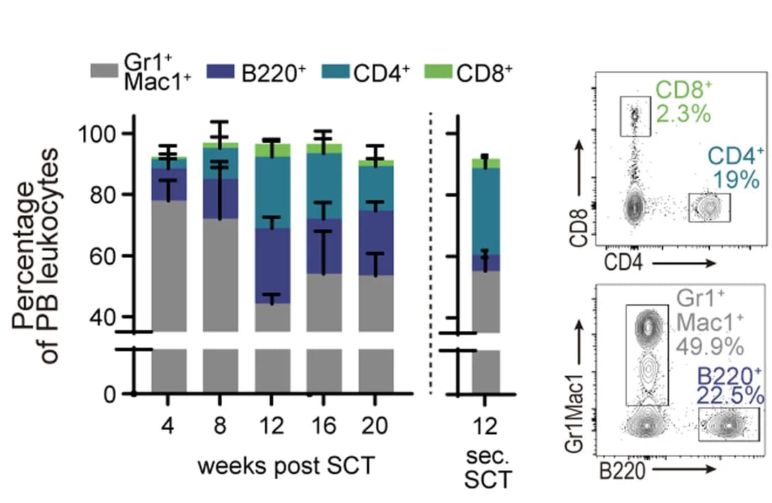 Open access visualization of Stacked Bar Plot, Error Bars, Scatter Plot, Peripheral blood, Leukocytes