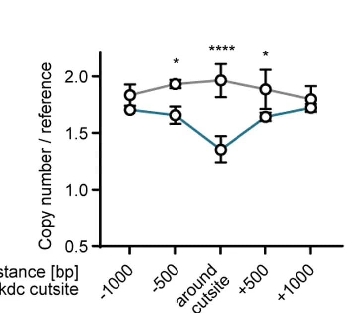 Open access visualization of Line Plot, Error Bars, Copy-number analysis, Prkdc probes, Reference gene
