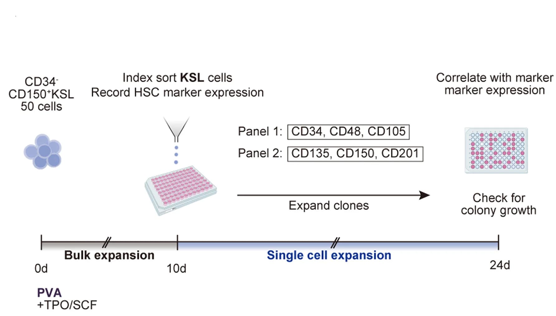 Open access visualization of Workflow, Flowchart, Illustration, Experimental Setup