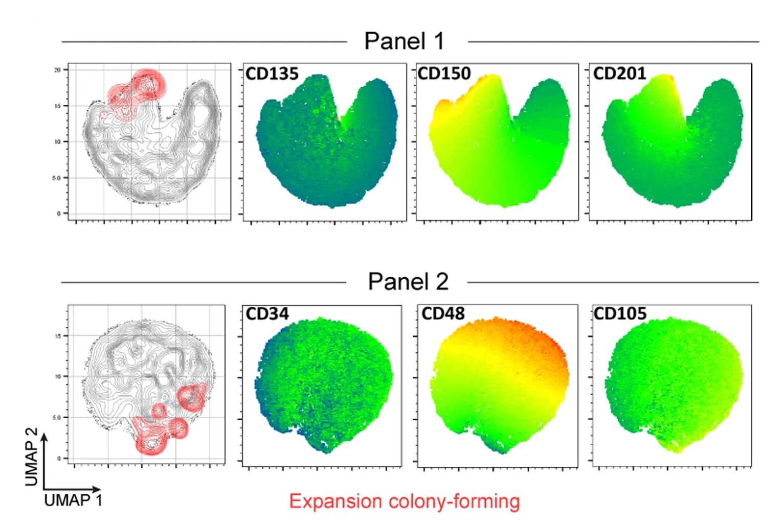 Open access visualization of UMAP, Scatter Plot, KSL Clones, Surface Markers, Colony-Forming Clones