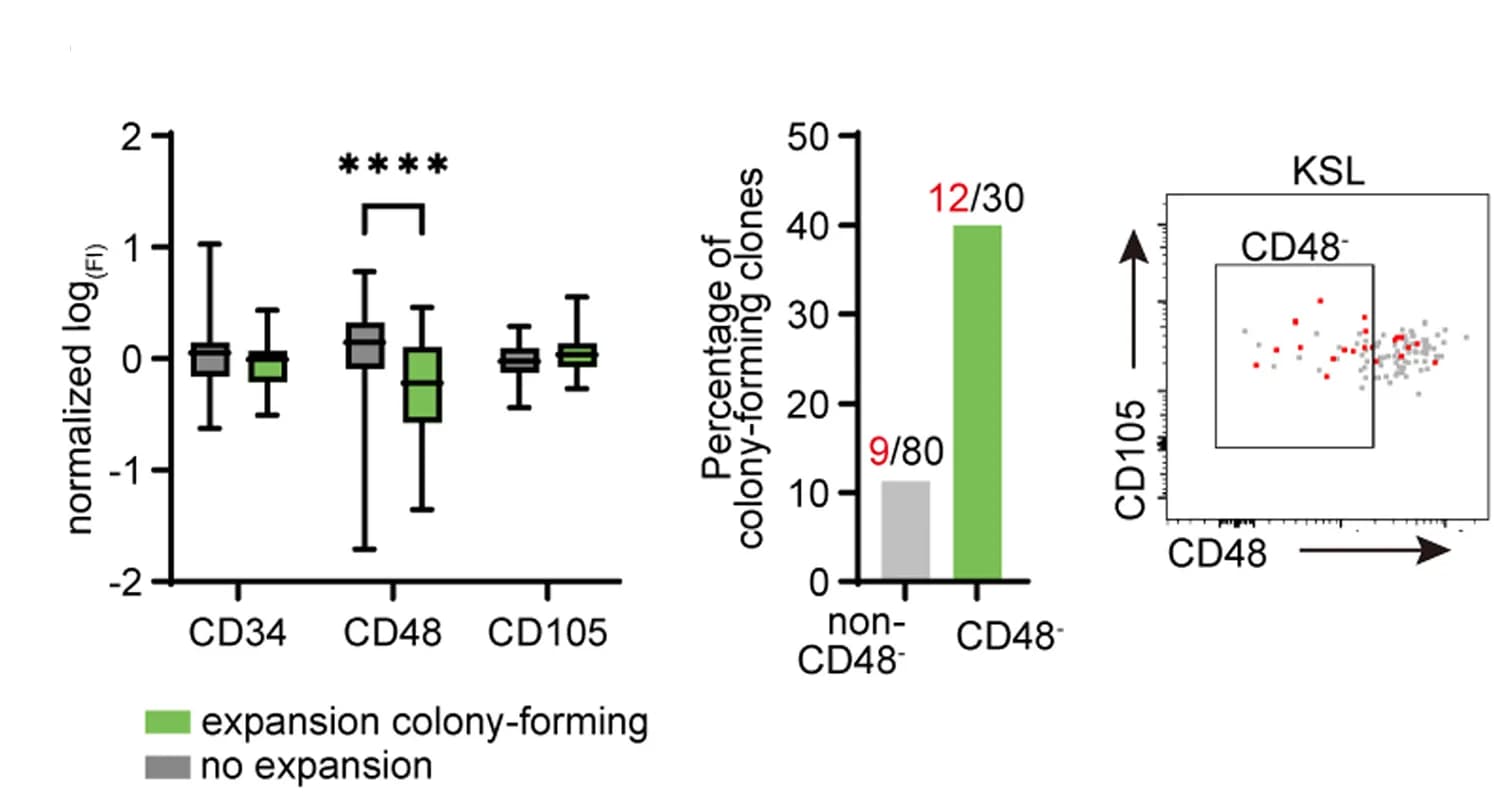 Open access visualization of Box Plot, Bar Plot, Scatter Plot, Quantification, Colony Expansion