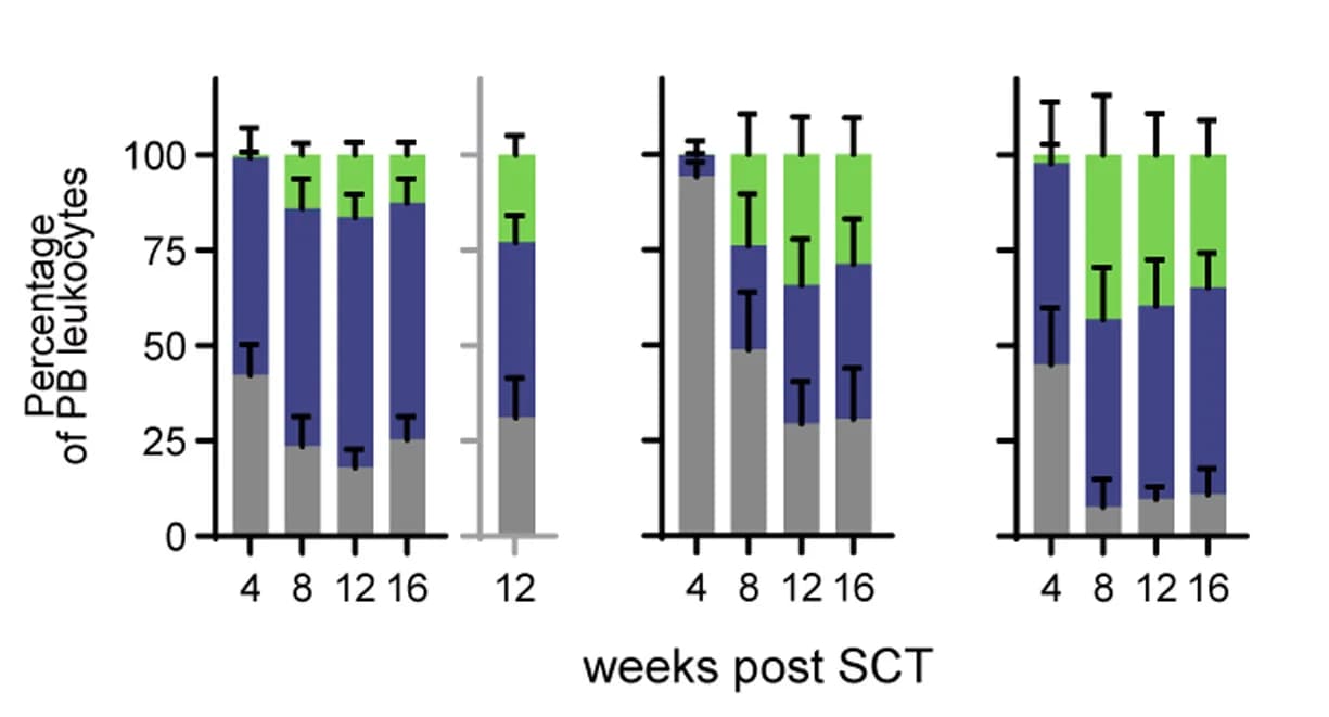Open access visualization of Stacked Bar Plot, Error Bars, Donor PB Chimerism, Lineage Distribution, Recipient Groups