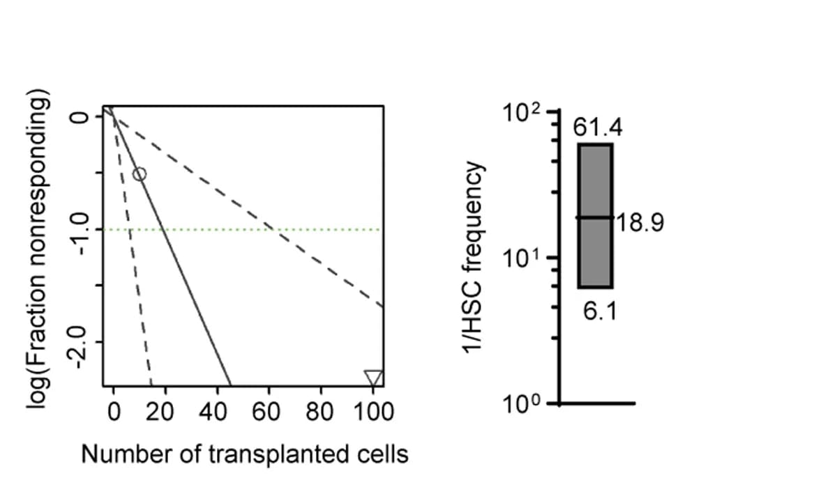 Open access visualization of Line Plot, Box Plot, ELDA, HSC Frequency, Boxplot