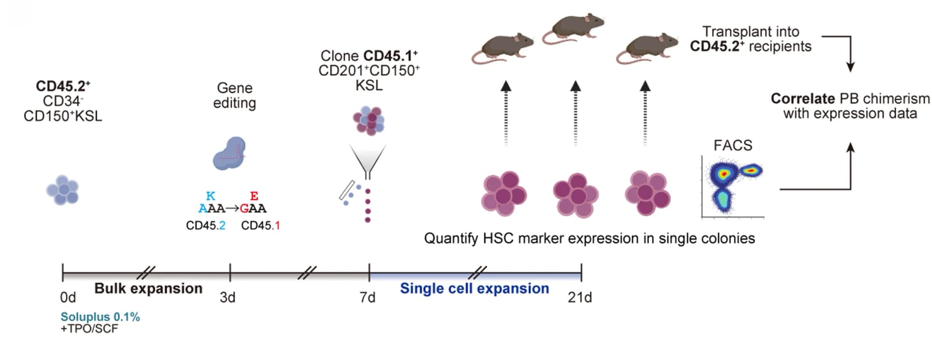 Open access visualization of Workflow, Flowchart, Scatter Plot, Density Plot, Single-Cell Editing