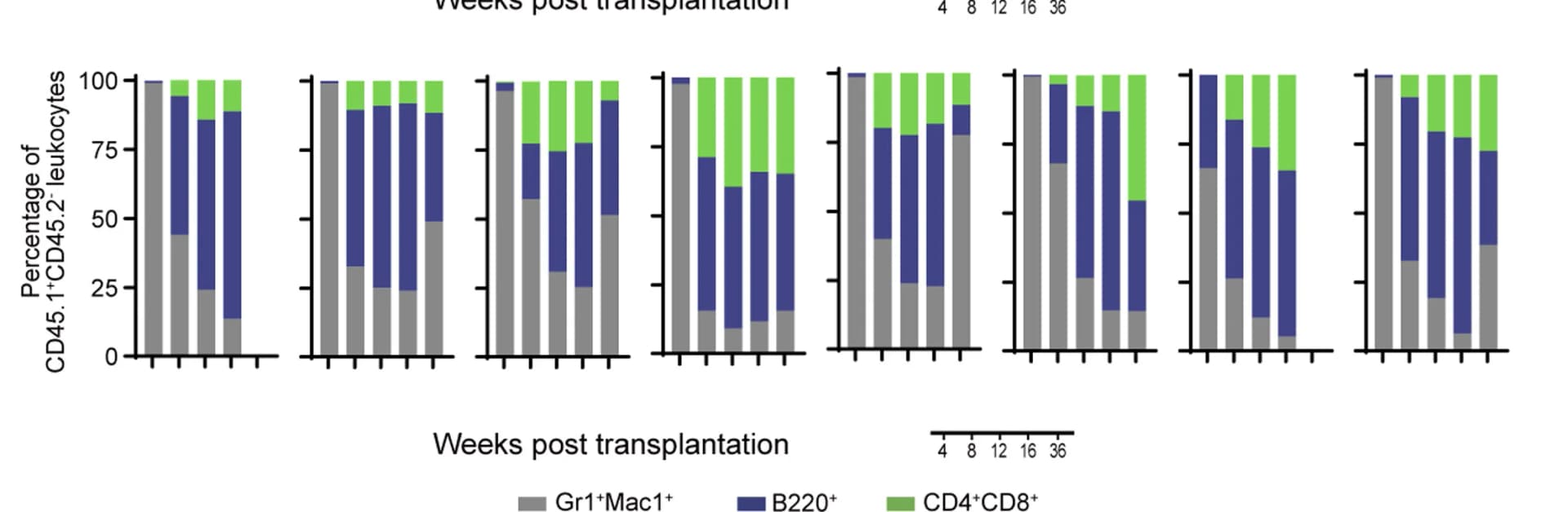 Open access visualization of Stacked Bar Plot, CD45.1+ Donor PB Chimerism, Lineage Distribution, Long-Term Engraftment, Multilineage Reconstitution