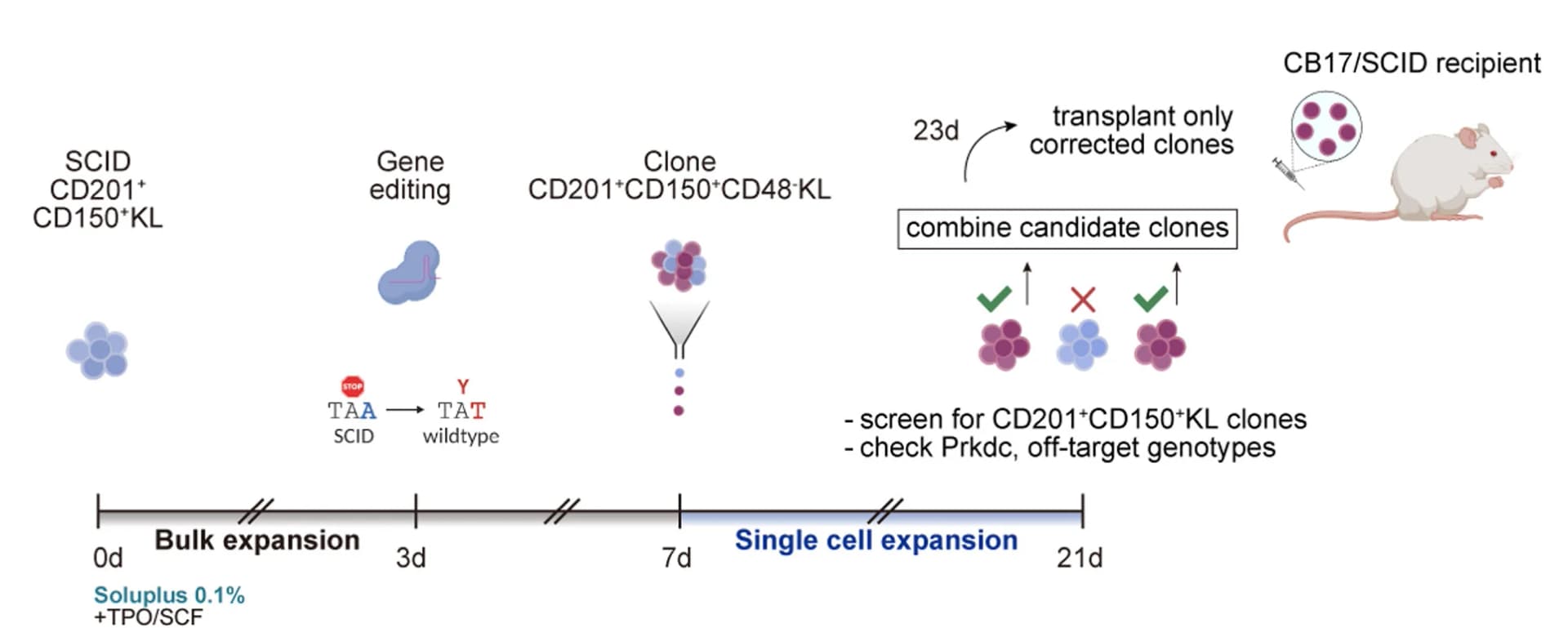Open access visualization of Workflow, Illustration, Clone, Model