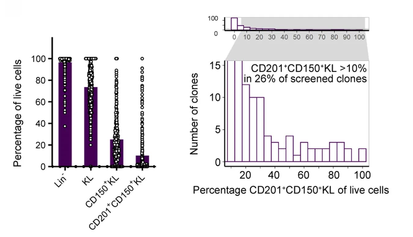 Open access visualization of Bar Plot, Scatter Plot, Histogram, Single Cell, SCID