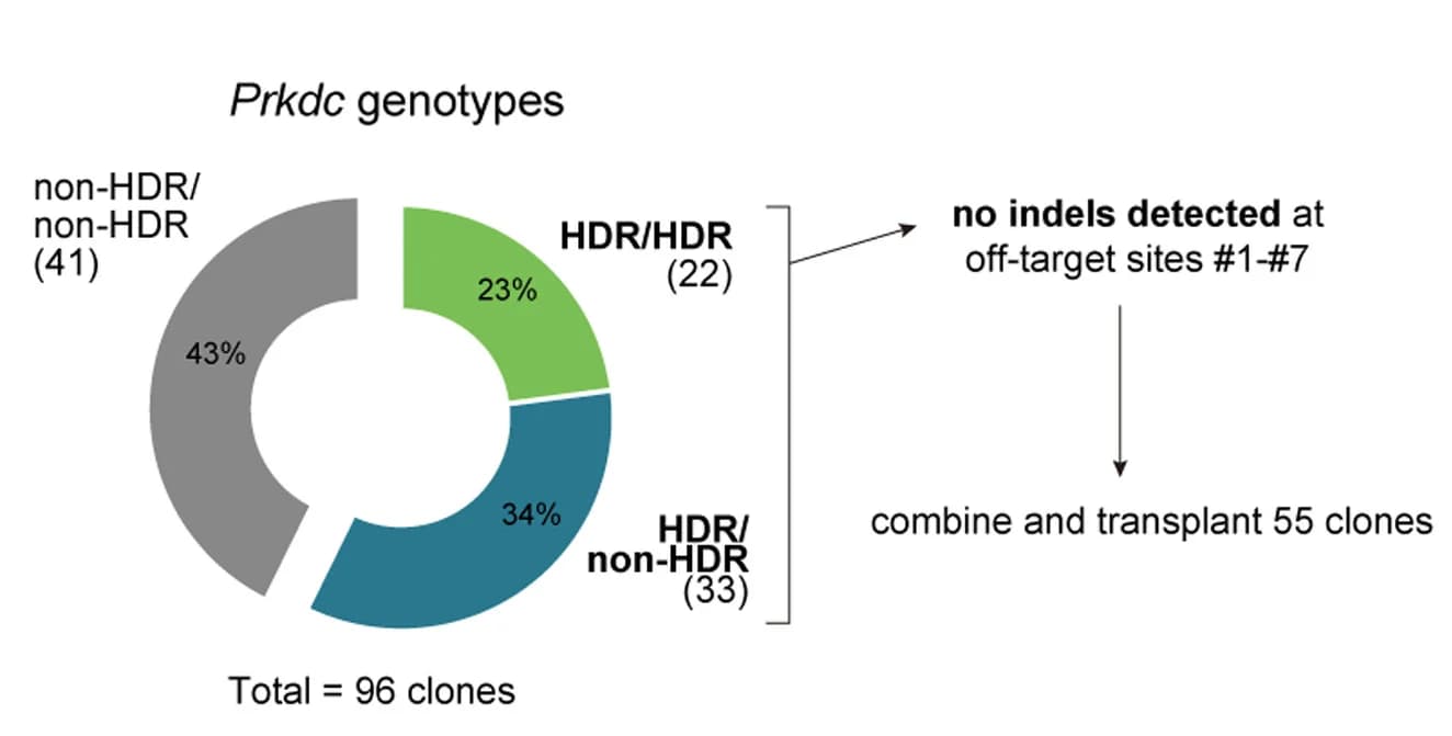 Open access visualization of Donut Chart, Flowchart, Genotyping, Candidate Clones, Sanger Sequencing