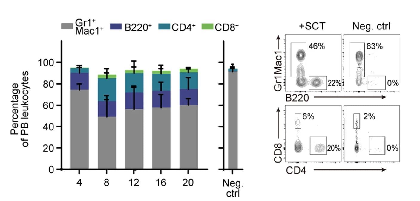 Open access visualization of Stacked Bar Plot, Scatter Plot, Error Bars, Frequencies, PB Leukocytes
