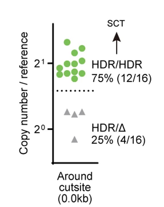 Open access visualization of Scatter Plot, Copy Number Analysis, HBB Probe, Reference Gene