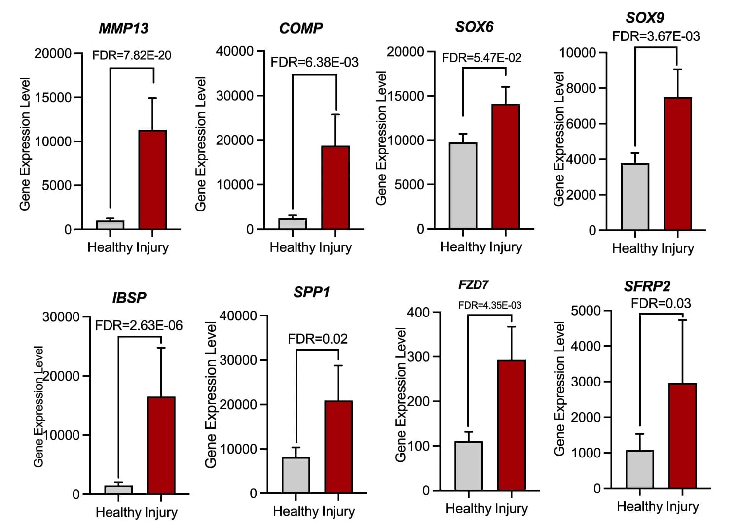 Open access visualization of Bar Plot, Error Bars, Gene Expression Levels, GO Enrichment Analyses
