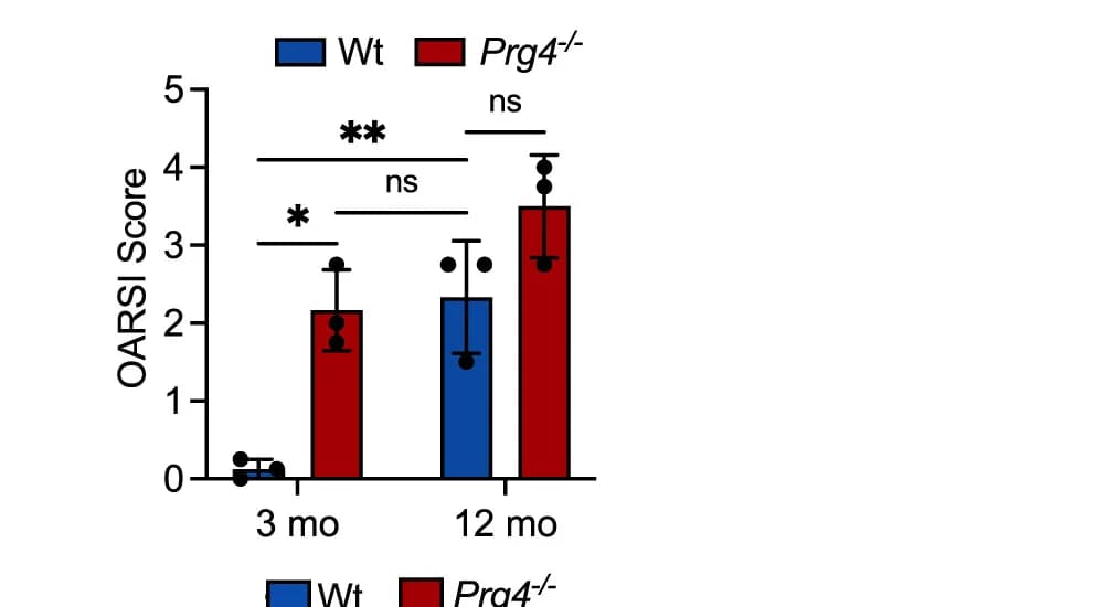 Open access visualization of Bar Plot, Error Bars, Clustered, OARSI Scores, Wild-Type Mice