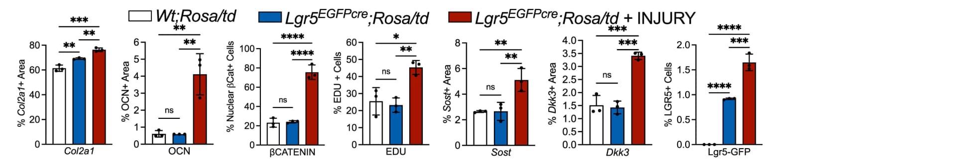 Open access visualization of Bar Plot, Error Bars, Immunohistochemistry, In situ hybridization, EDU positive cells