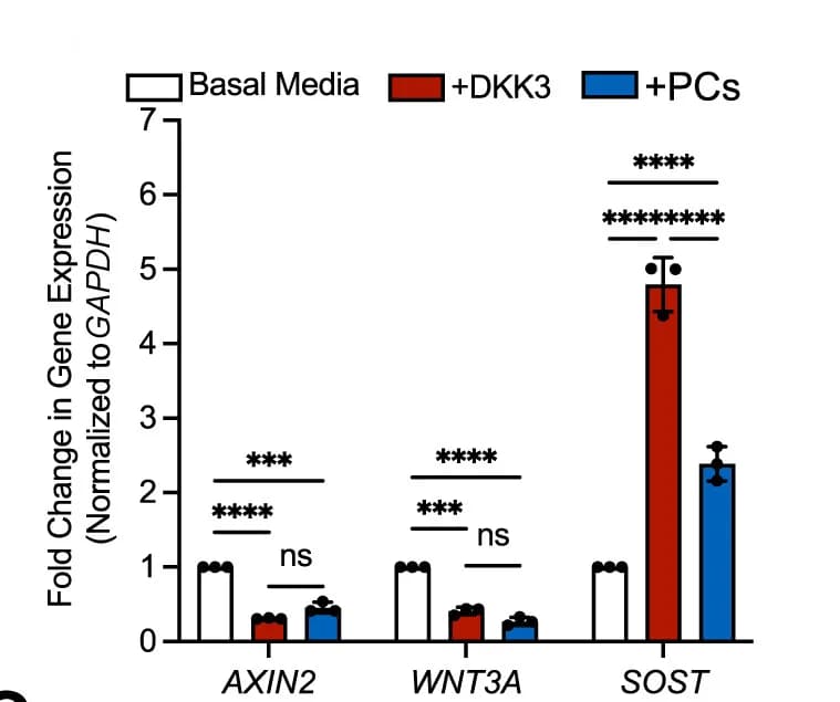 Open access visualization of Bar Plot, Error Bars, Clustered, qRT-PCR, CCs