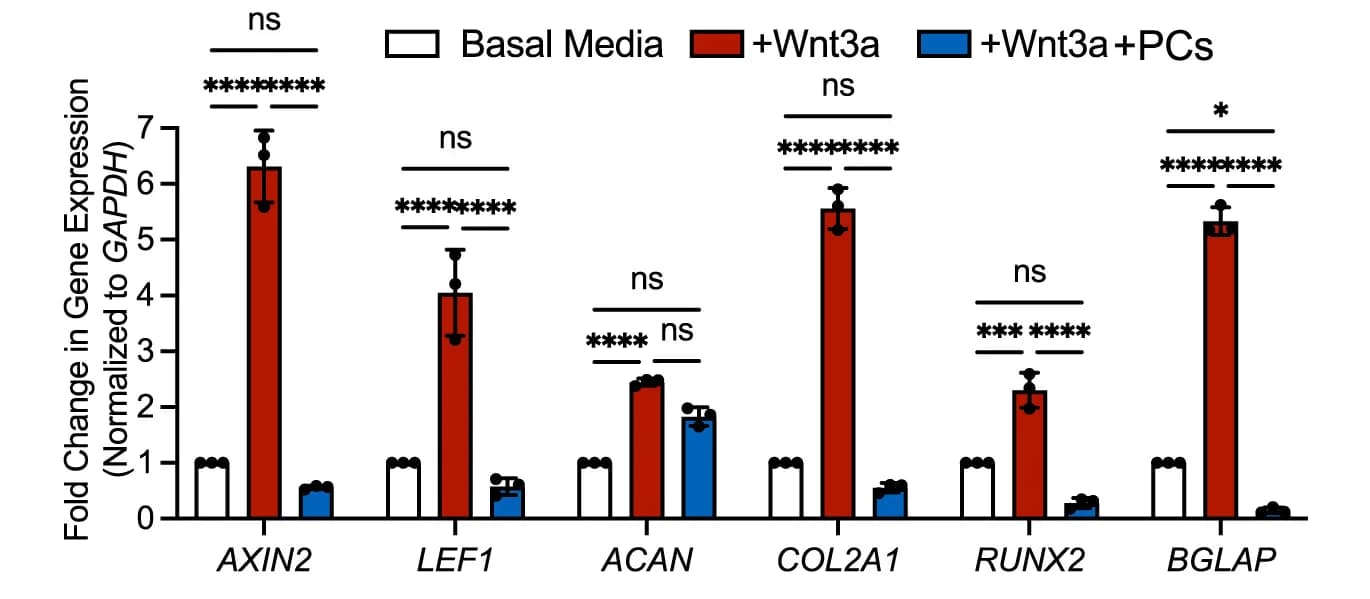 Open access visualization of Bar Plot, Error Bars, Clustered, qRT-PCR, CCs