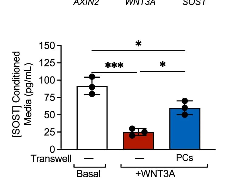 Open access visualization of Bar Plot, Error Bars, ELISA, Conditioned media