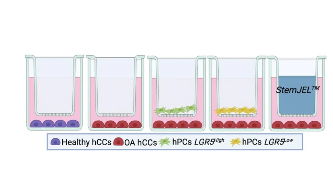 Open access visualization of Illustration, Experimental schematic