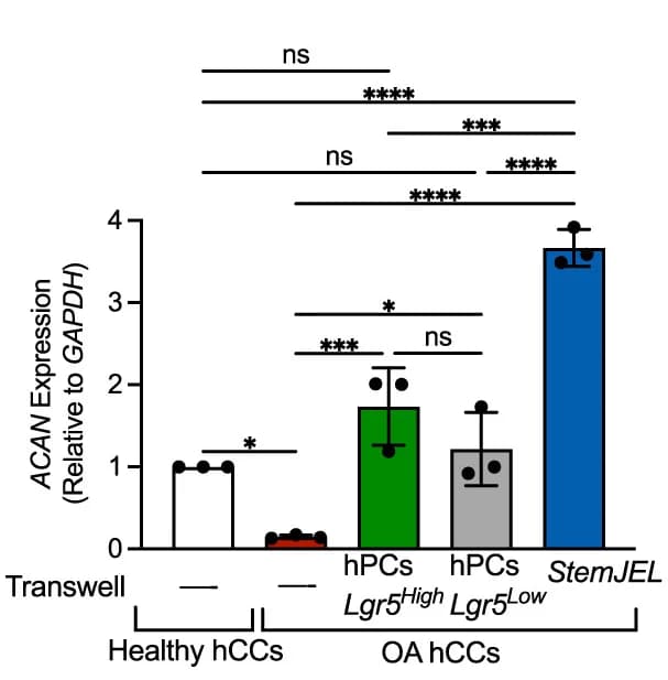 Open access visualization of Bar Plot, Error Bars, qRT-PCR, OA hCCs, Fold change