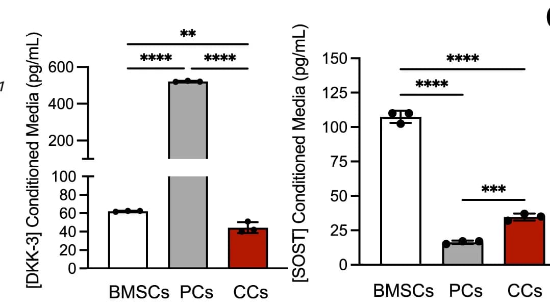 Open access visualization of Bar Plot, Error Bars, qRT-PCR, OA hCCs, Fold change