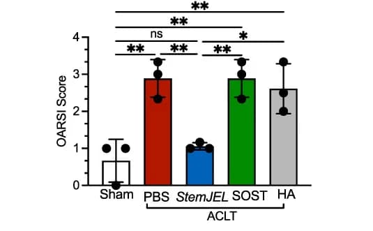 Open access visualization of Bar Plot, Error Bars, Knee Joints, OARSI Score, Mean