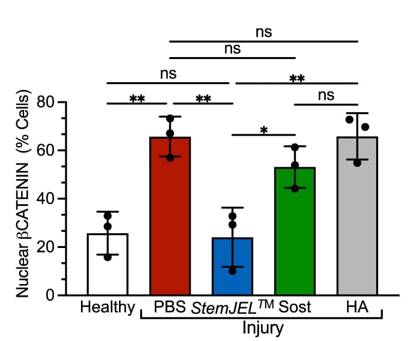 Open access visualization of Bar Plot, Error Bars, β-catenin, Cells, Mini-Pig