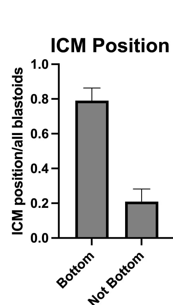 Open access visualization of Bar Plot, Error Bars, ICM Position, Microwells, Quantification