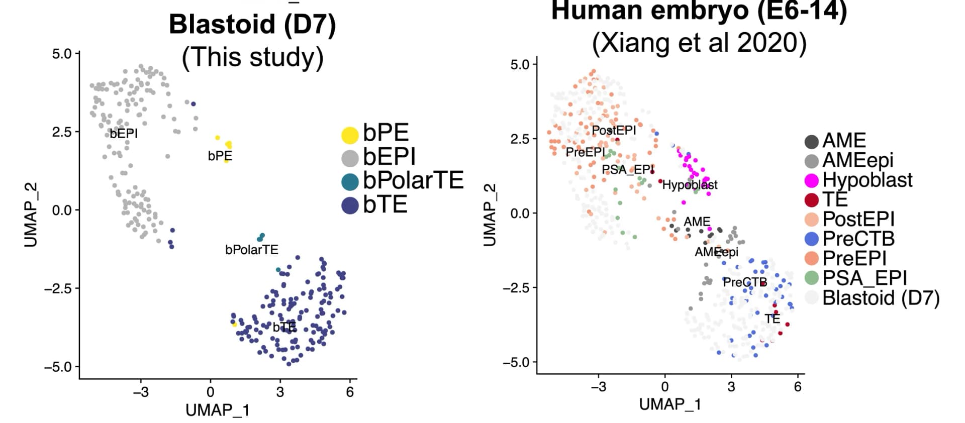 Open access visualization of Scatter Plot, UMAP, scRNA-seq, Blastoids, 3D-cultured Human Embryos