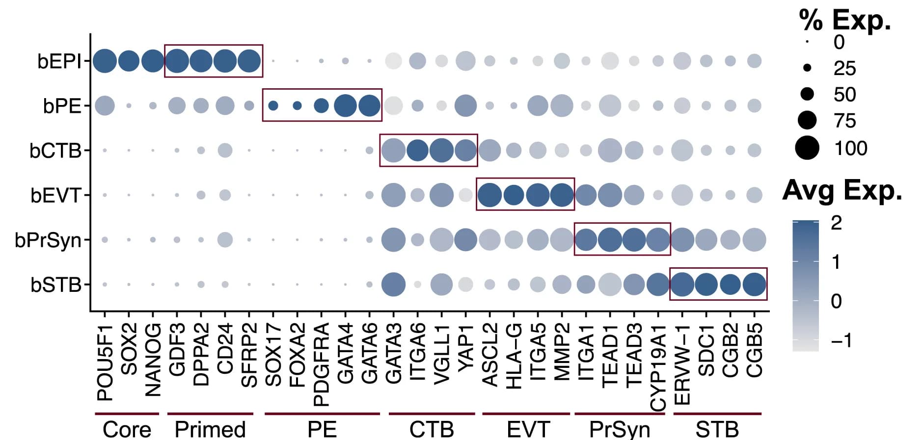 Open access visualization of Bubble Plot, Dotplots, Gene expression patterns, Clusters, Gene expression levels