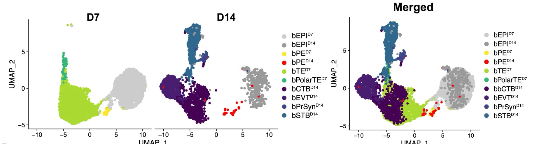 Open access visualization of Scatter Plot, UMAP, scRNA-seq, Blastoids, Integration