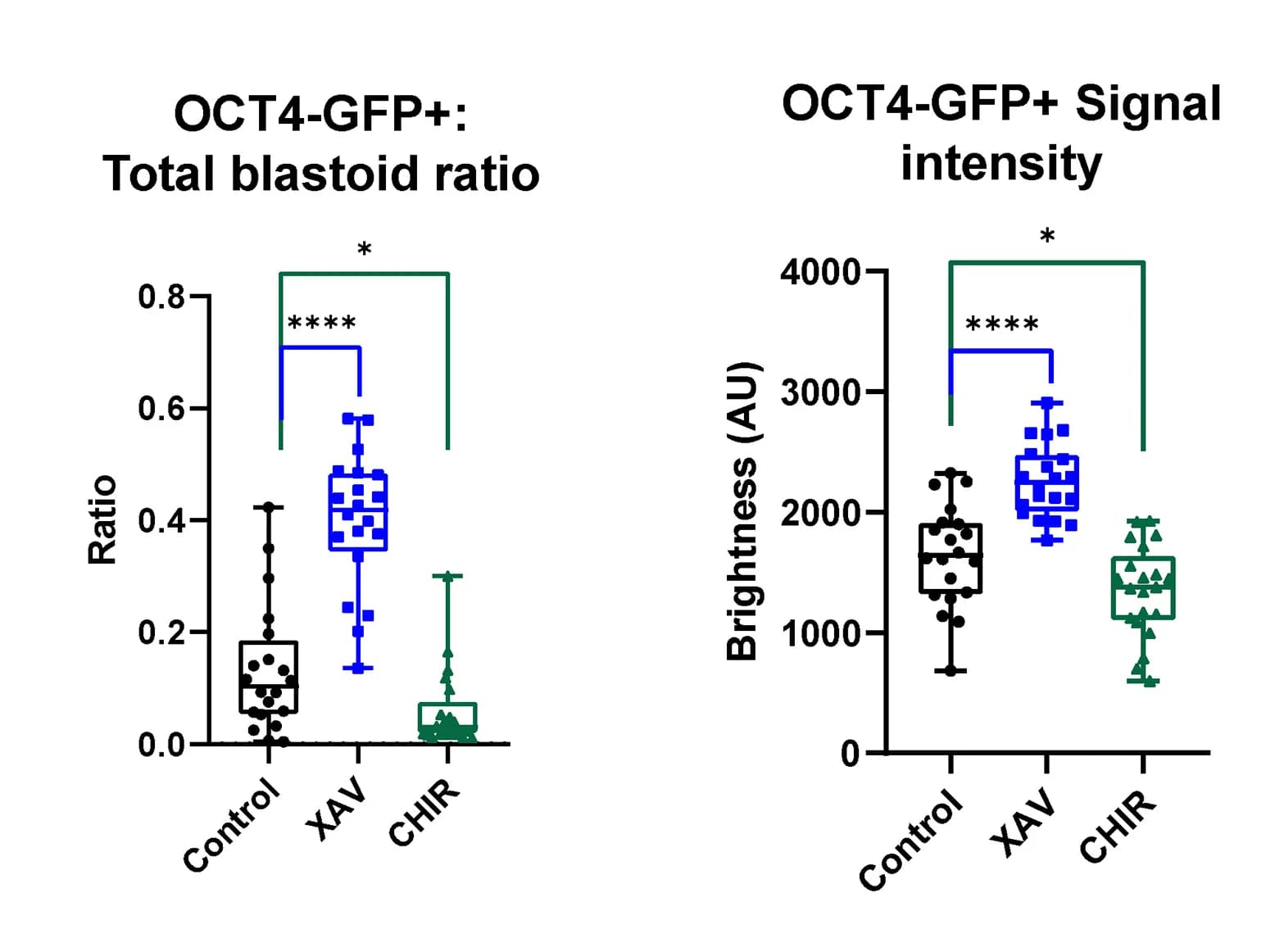 Open access visualization of Box Plot, Scatter Plot, Blastoid features, XAV939, CHIR99021