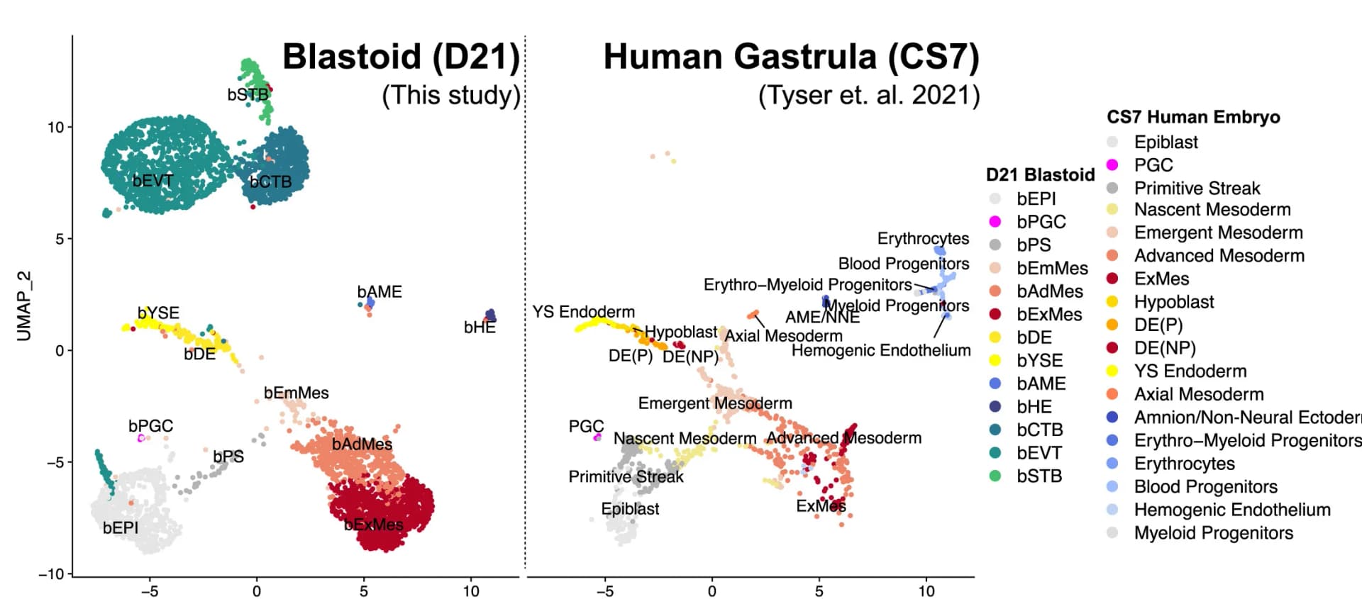 Open access visualization of Scatter Plot, UMAP, scRNA-seq Analysis, Blastoids, WIBR3 OCT4-GFP hPSCs